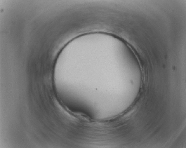 X0000077361500200611101626