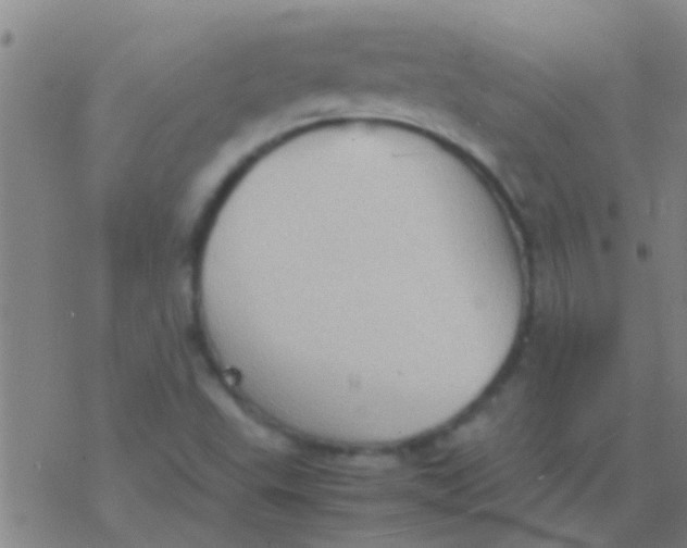 X0000077361503200611101626