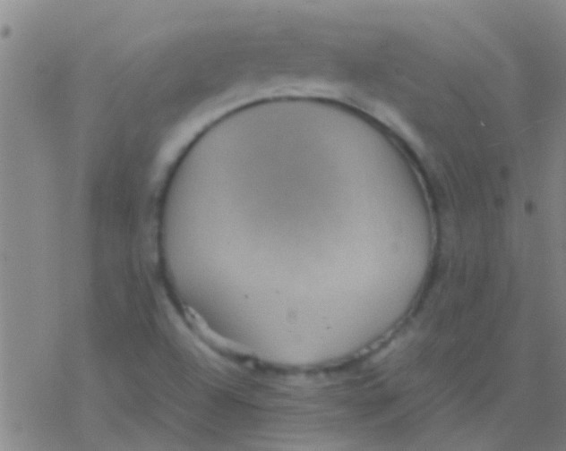 X0000077361504200611101626