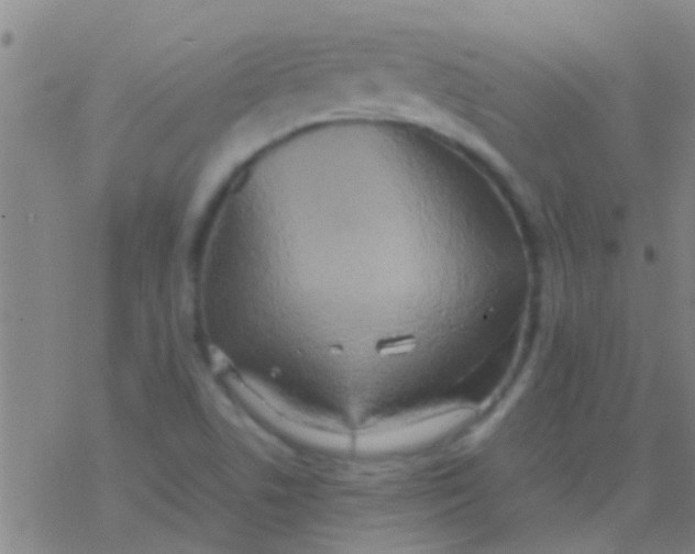 X0000077361506200611101626