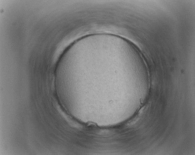 X0000077361507200611101626