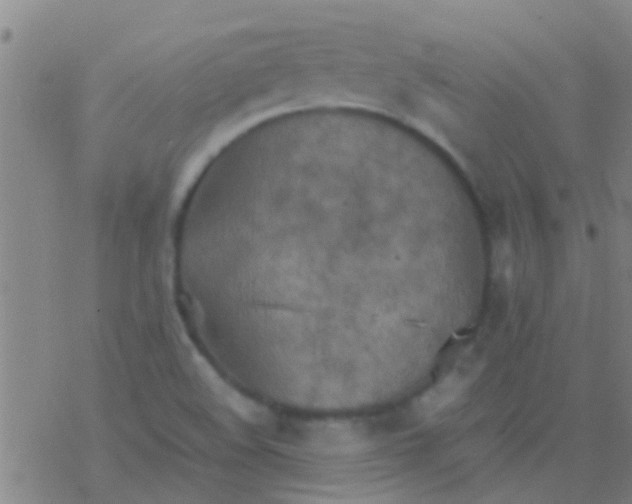 X0000077361508200611101626