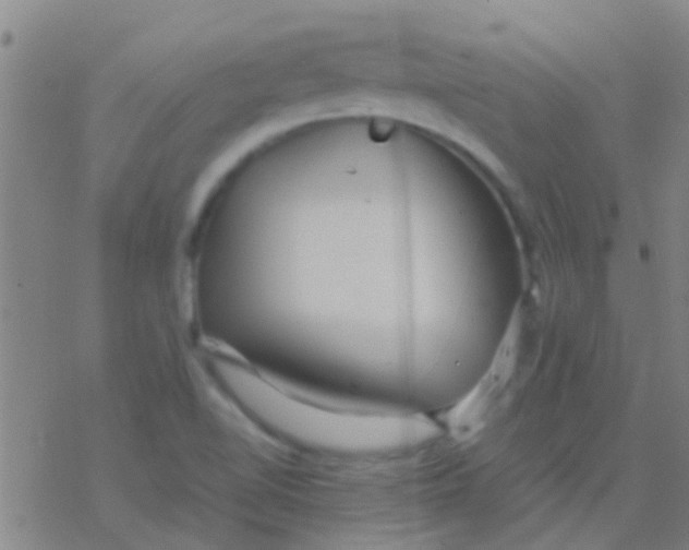 X0000077361510200611101626