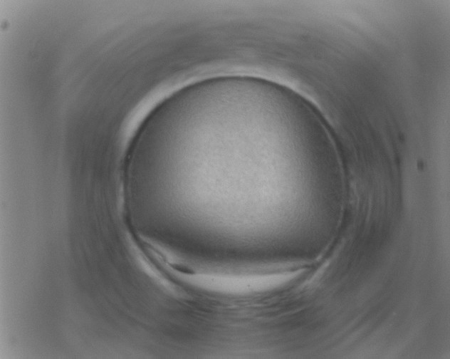 X0000077361511200611101626