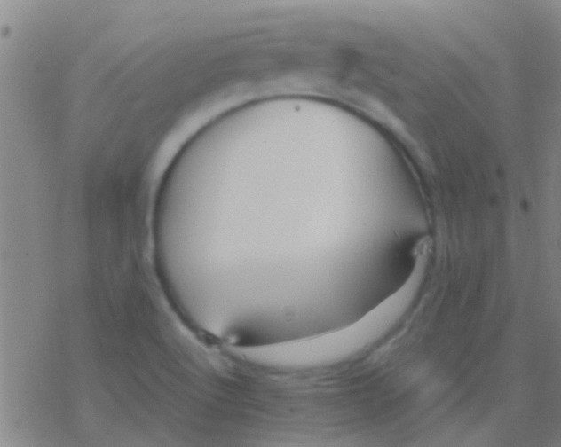 X0000077361512200611101626