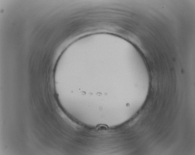 X0000077361516200611101626