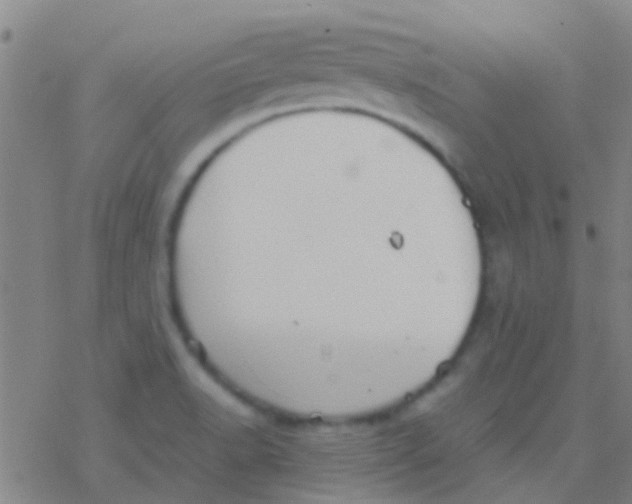 X0000077361518200611101626