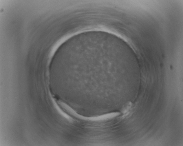 X0000077361519200611101626