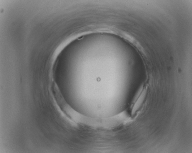 X0000077361520200611101626