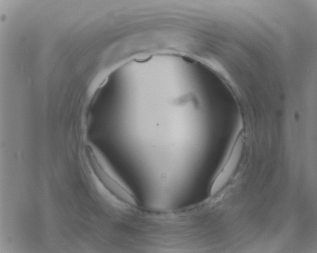 X0000077361524200611101626