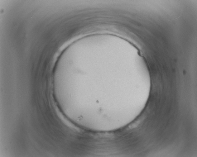 X0000077361526200611101626