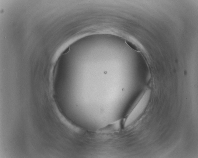 X0000077361528200611101626