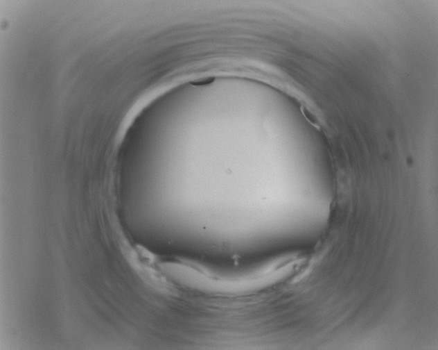 X0000077361530200611101626