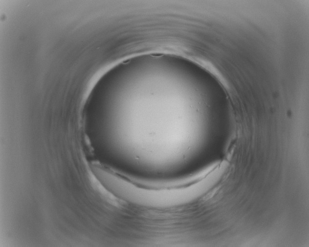 X0000077361532200611101626