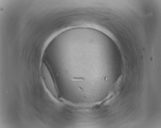 X0000077361536200611101626