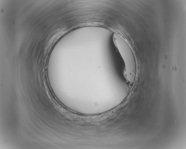 X0000077360001200611171935