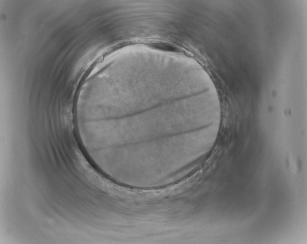 X0000077360002200611171935