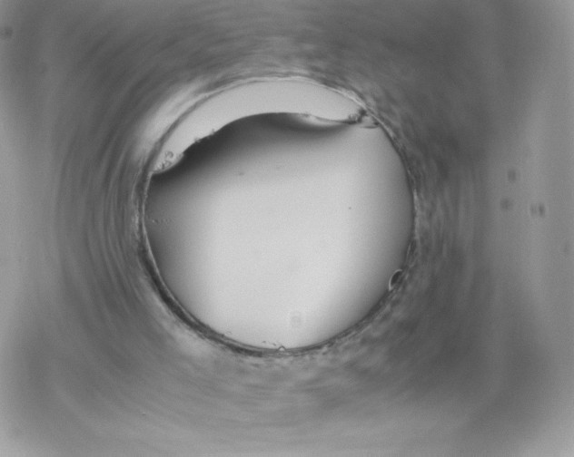 X0000077360005200611171935