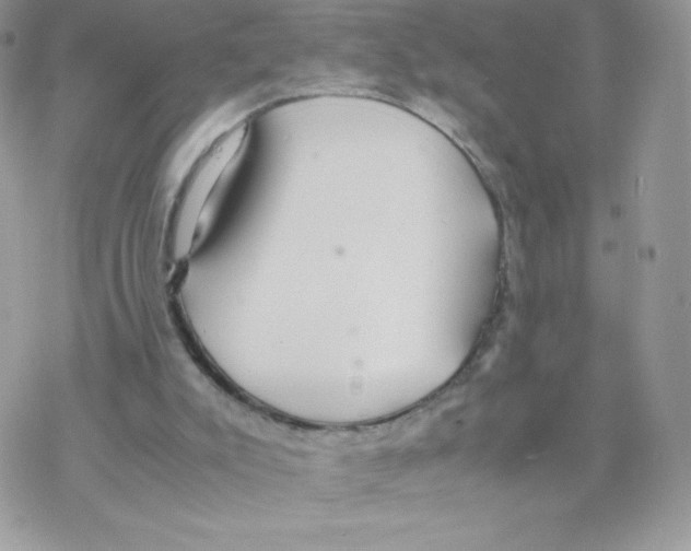 X0000077360007200611171935