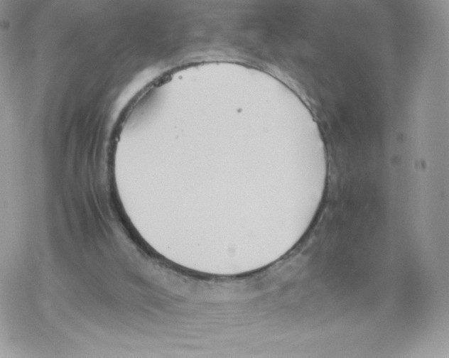 X0000077360008200611171935