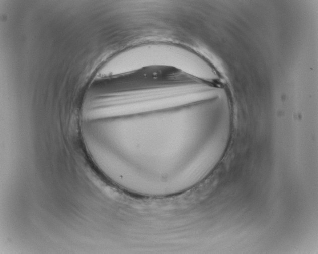 X0000077360009200611171935