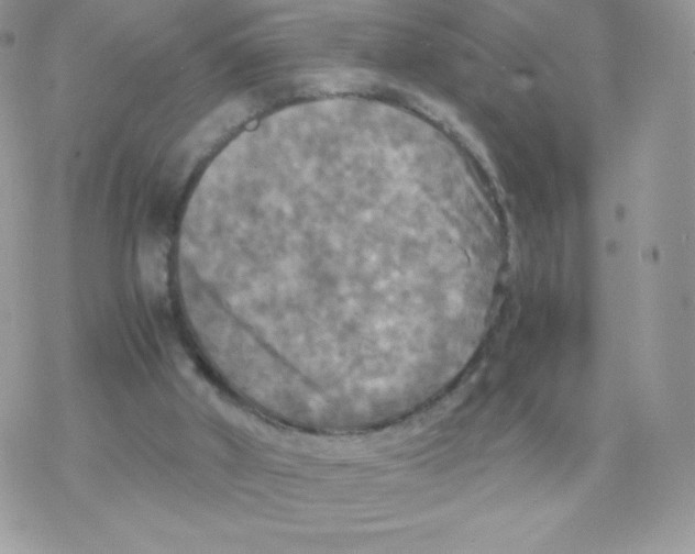 X0000077360010200611171935