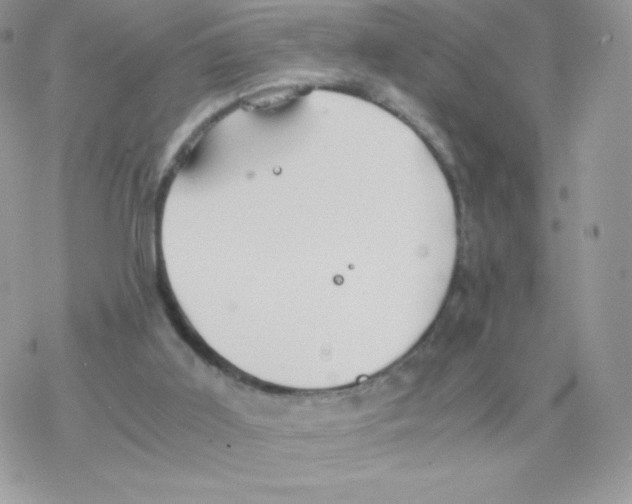 X0000077360011200611171935