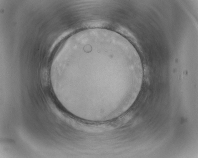 X0000077360012200611171935