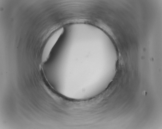 X0000077360013200611171935