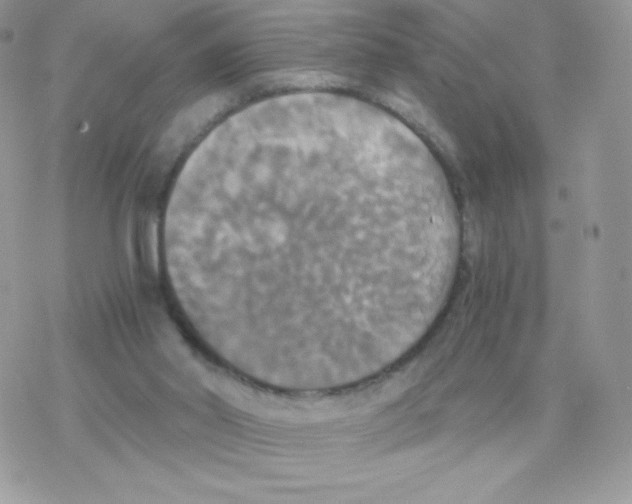 X0000077360014200611171935