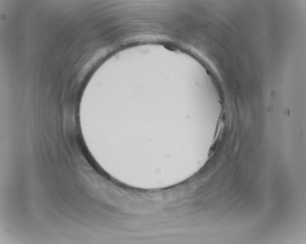 X0000077360015200611171935