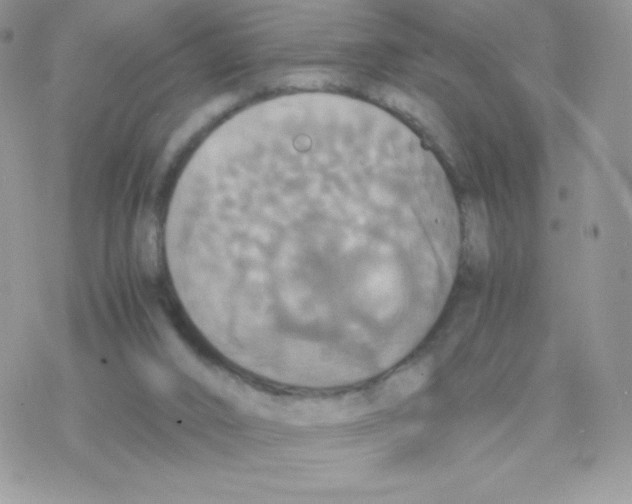 X0000077360016200611171935