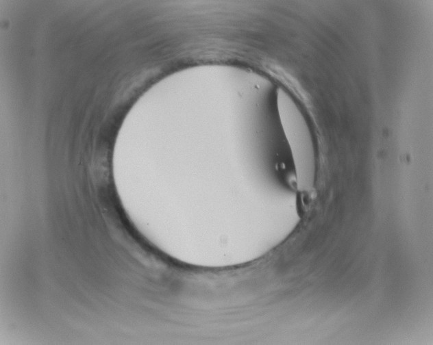 X0000077360017200611171935