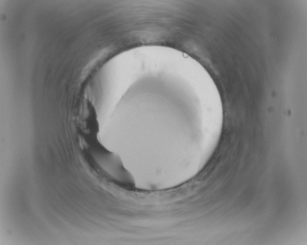 X0000077360019200611171934