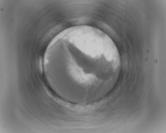 X0000077360022200611171934