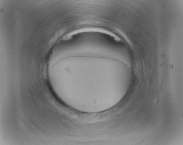 X0000077360023200611171934