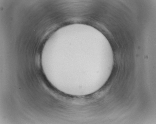 X0000077360024200611171934