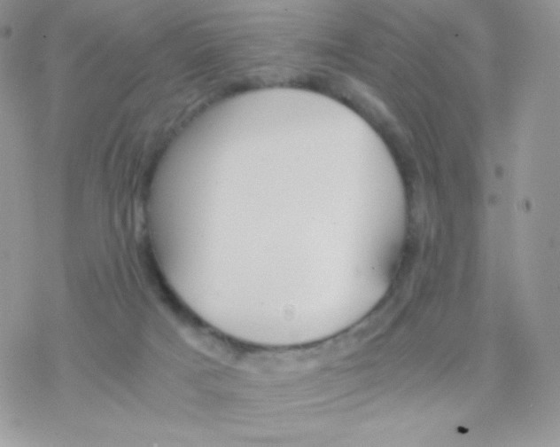 X0000077360025200611171934