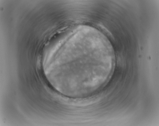 X0000077360026200611171934