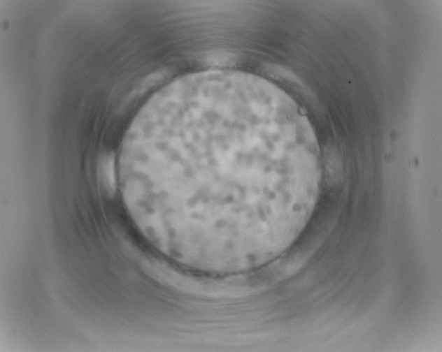 X0000077360028200611171934