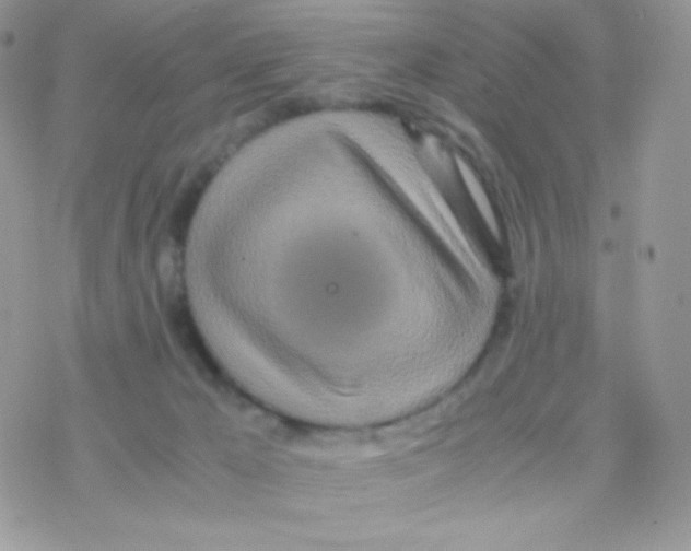 X0000077360029200611171934