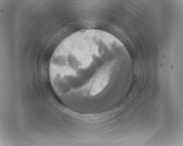 X0000077360030200611171934