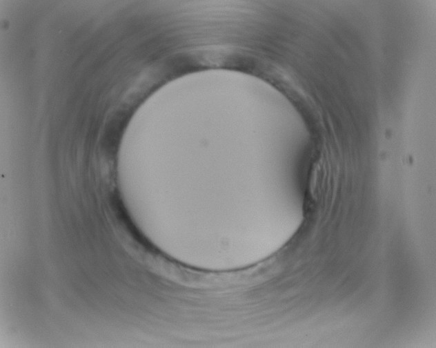 X0000077360031200611171934