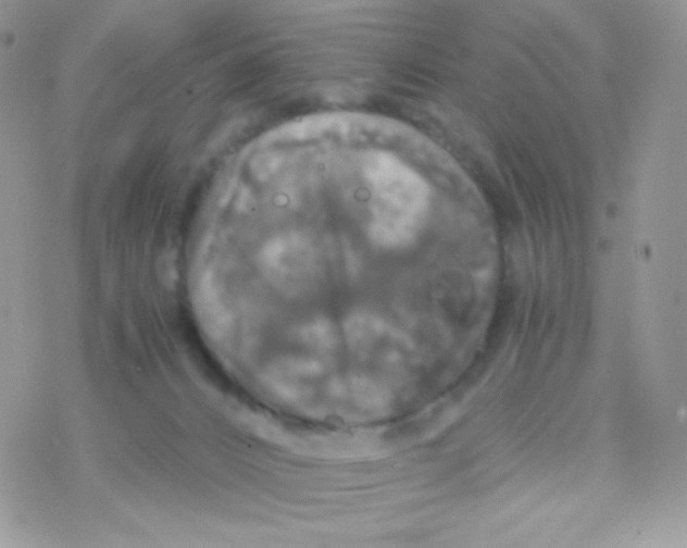 X0000077360032200611171934