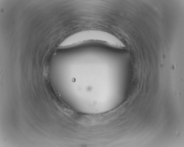 X0000077360033200611171934