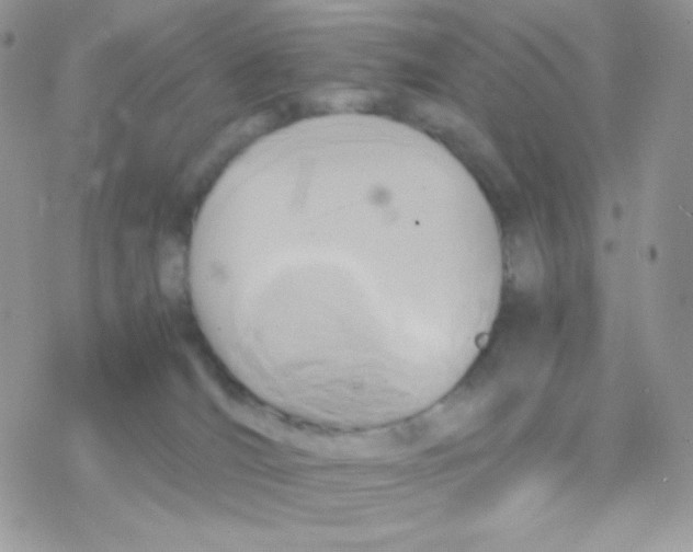 X0000077360036200611171934