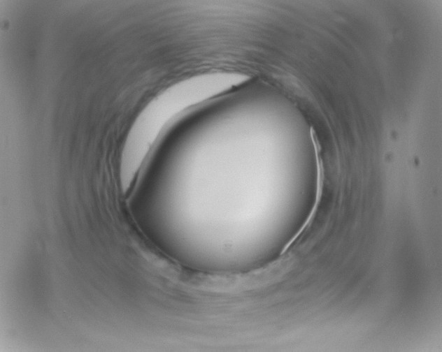 X0000077360037200611171934