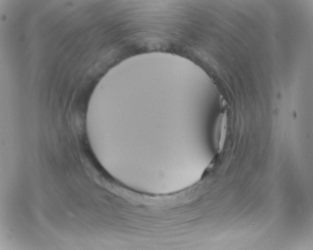 X0000077360039200611171934