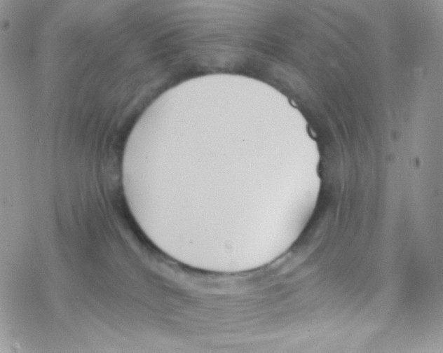 X0000077360040200611171934