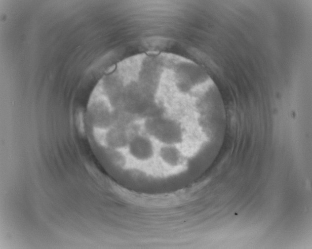 X0000077360042200611171934